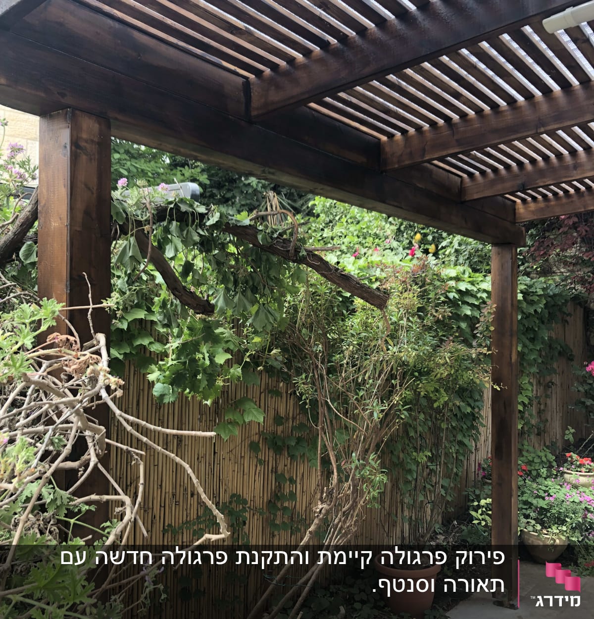 פרגולה מעץ עם צמחים מטפסים ועציצים בגינה